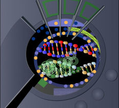 Saurian DNA Screen