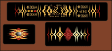 Vidiian Computer Screen
