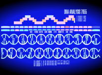DNA Analysis