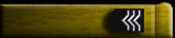 Petty Officer, 1st Class (E-6)